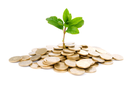 plant growing from pile of coins.jpg